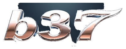 b737 logo